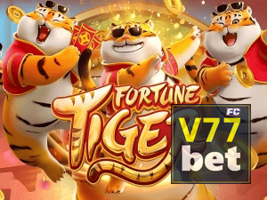 Guia install APK V77BET BR